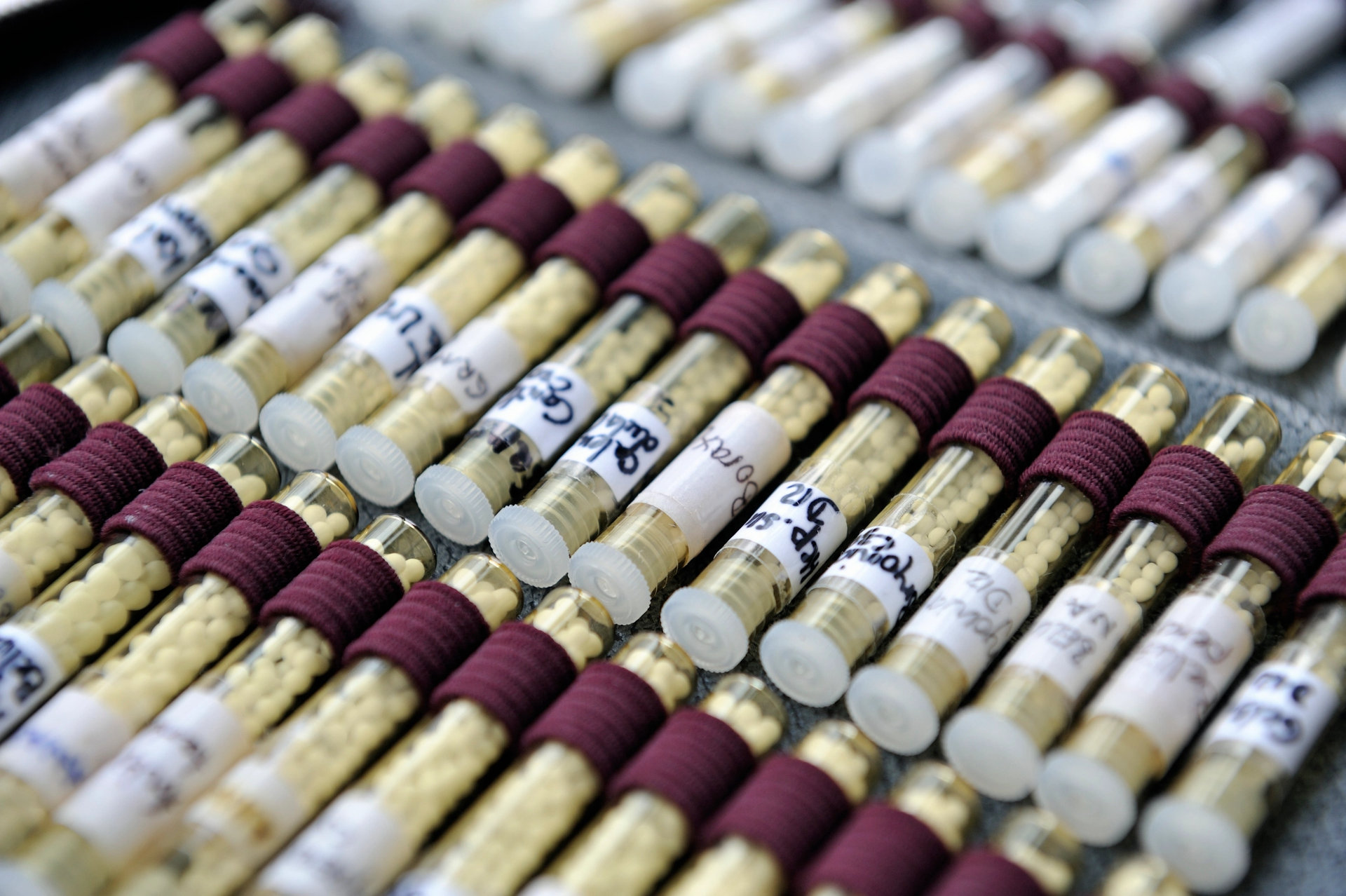 Mehrere kleine Glasbehälter liegen ordentlich in Reihe in einem Labor, bereit für Experimente oder Analysen.