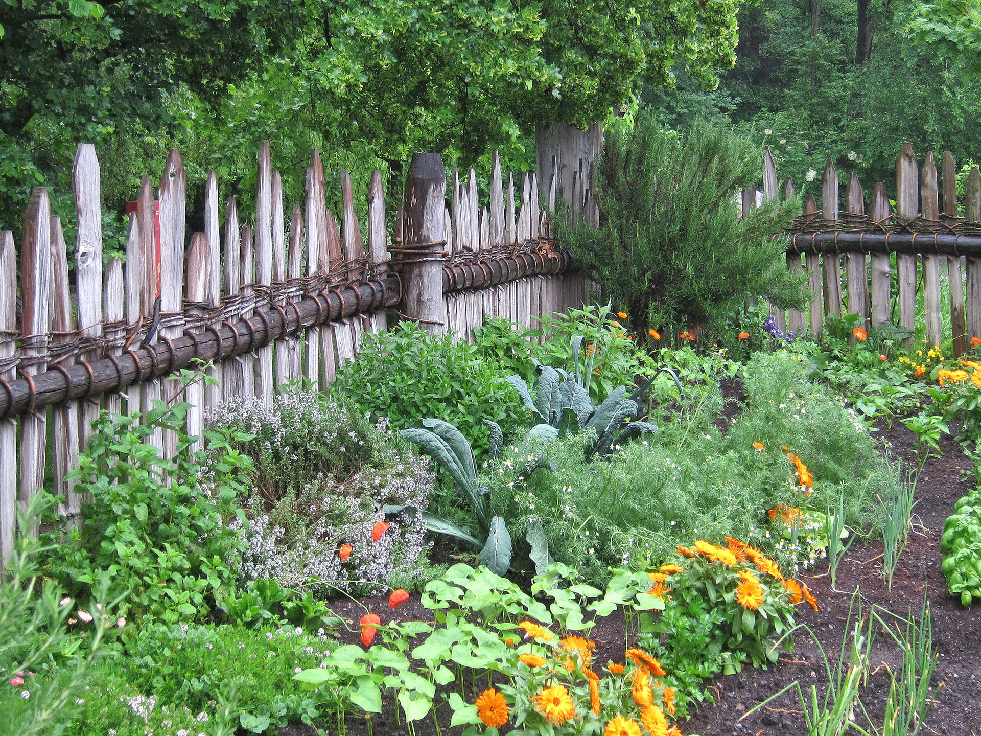 100 Jahre Gartengestaltung: Geschichte, Ideen & Trends Garten