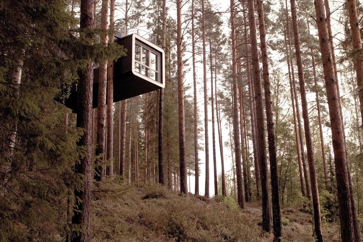 Ein moderne Baumhaus in der Form eines Schiffs-Containers