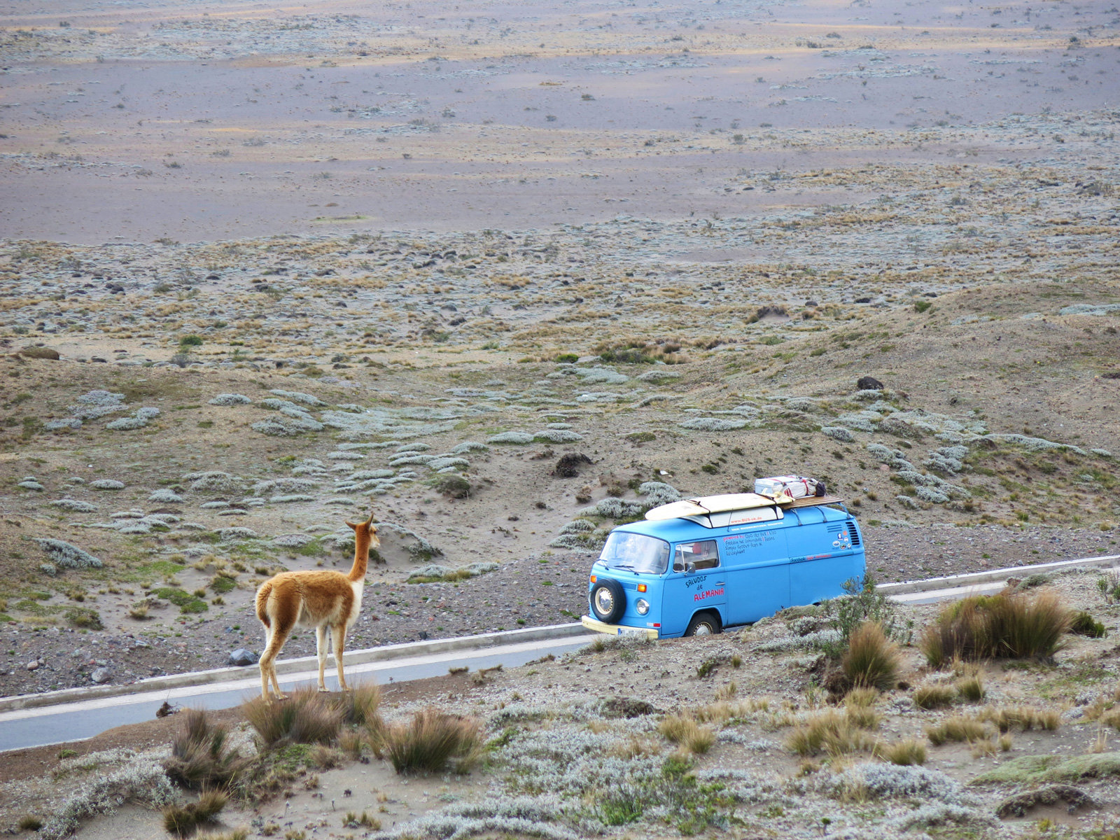 Finanzielle Unabhängigkeit ermöglicht es, Träume zu verwirklichen.