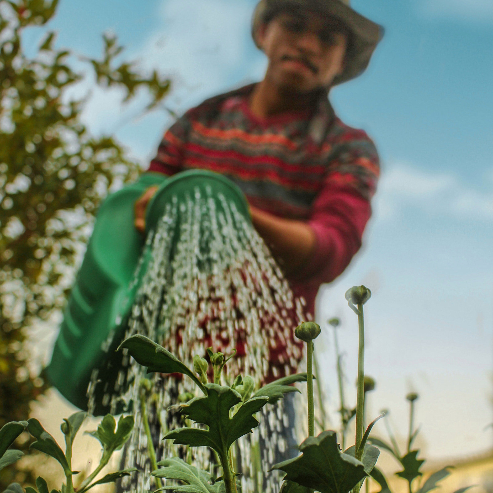 Vorausschauend handeln hilft auch bei der Altersvorsorge.