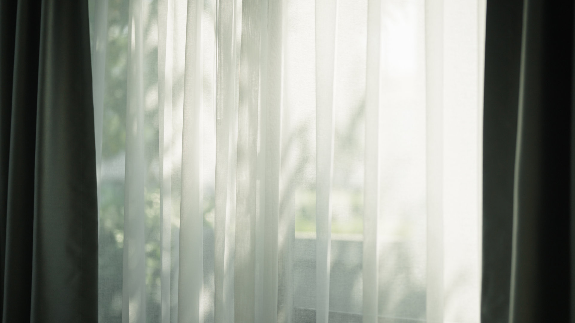 Window curtain with sunlight.
