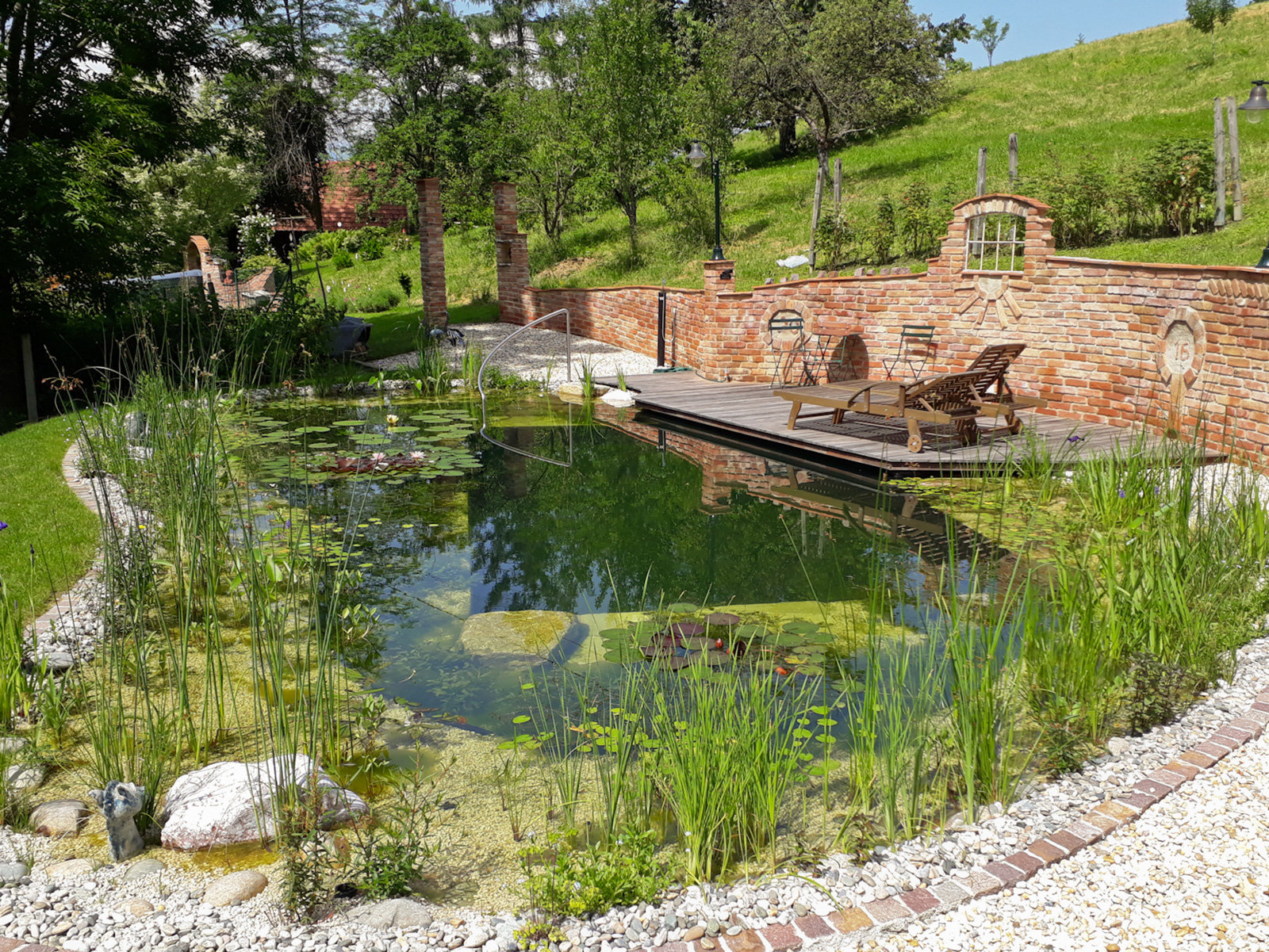 Im Schwimmteich ist die Hälfte der Fläche für Pflanzen reserviert.