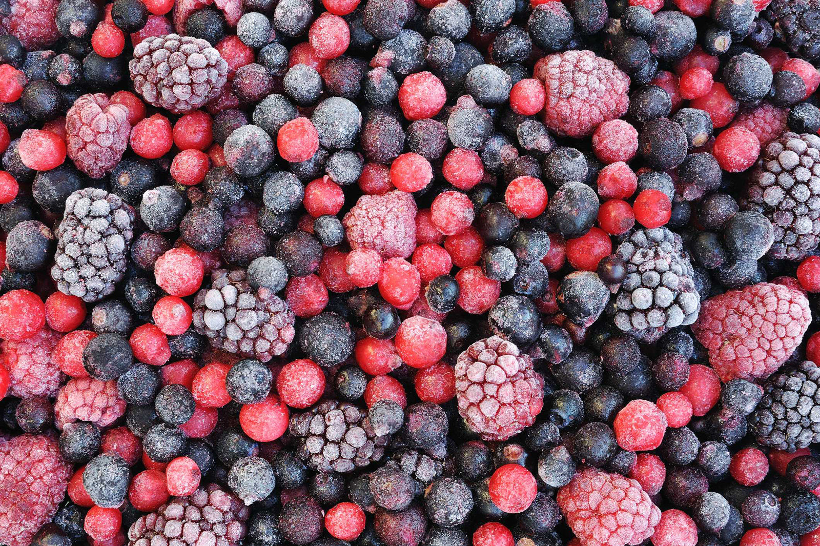 Zaubeerhaft - frische Beeren auch im Winter