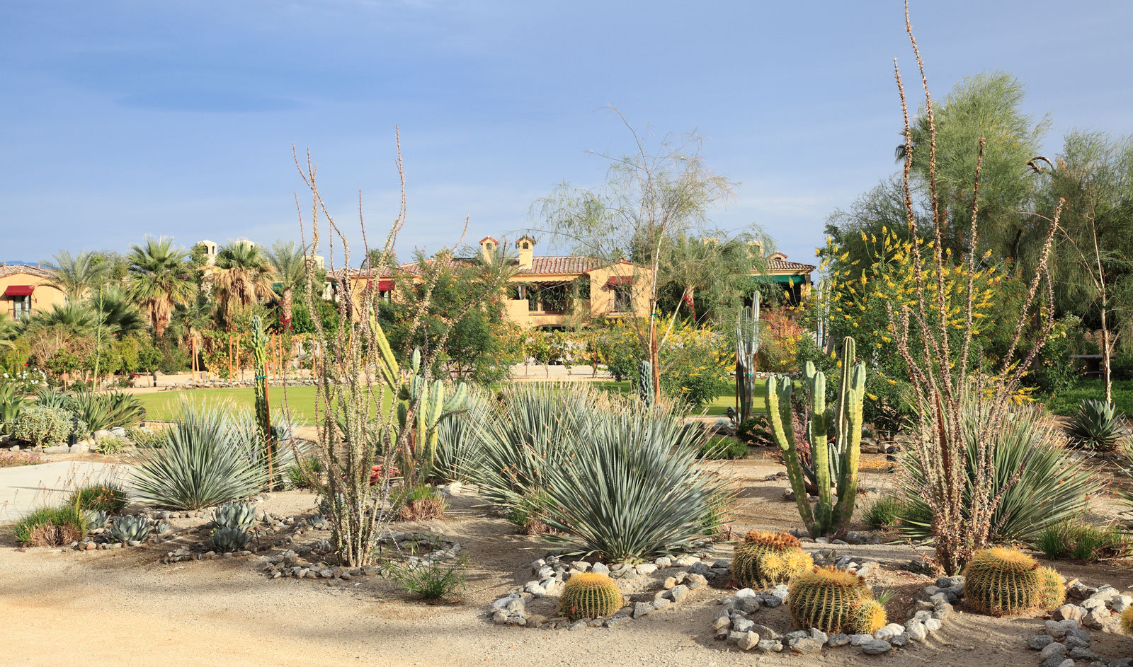 Wüstengarten in Palm Springs (USA)