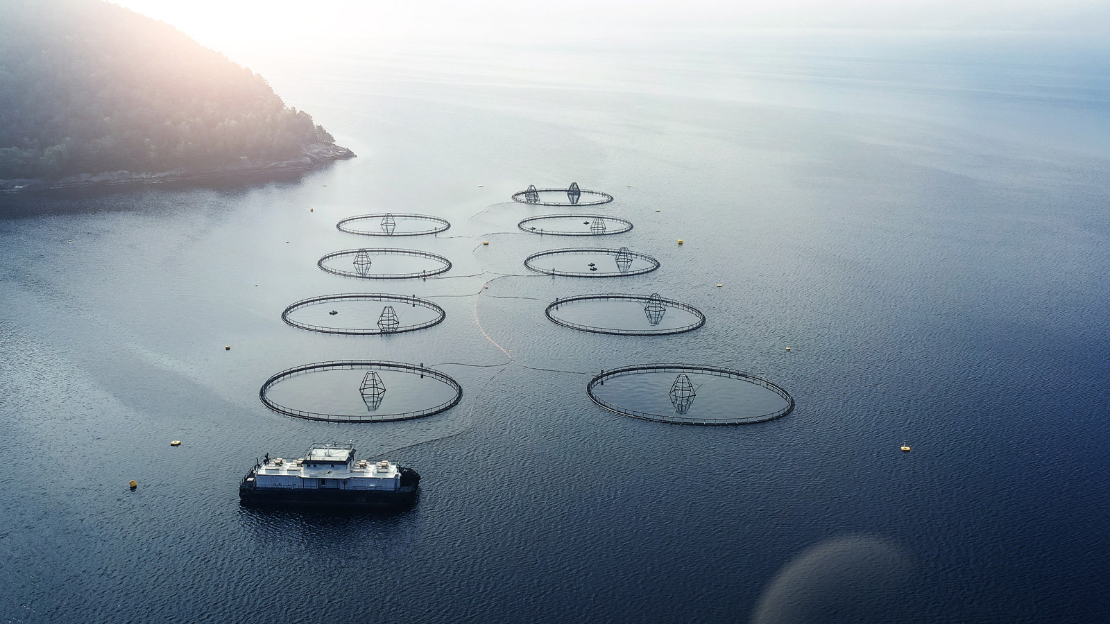 Echter Lachs aus Österreich Ökologisch bedenklich: Aquakultur in norwegischen Fjorden