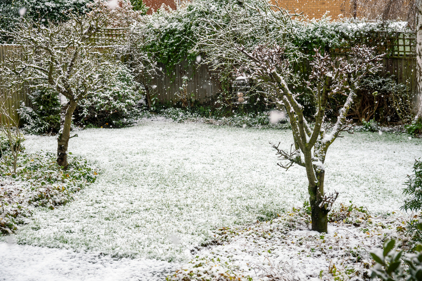 Winterruhe. Im Winter pausiert das Wachstum der Bäume, deshalb eignet sich diese Zeit am besten für den Schnitt.