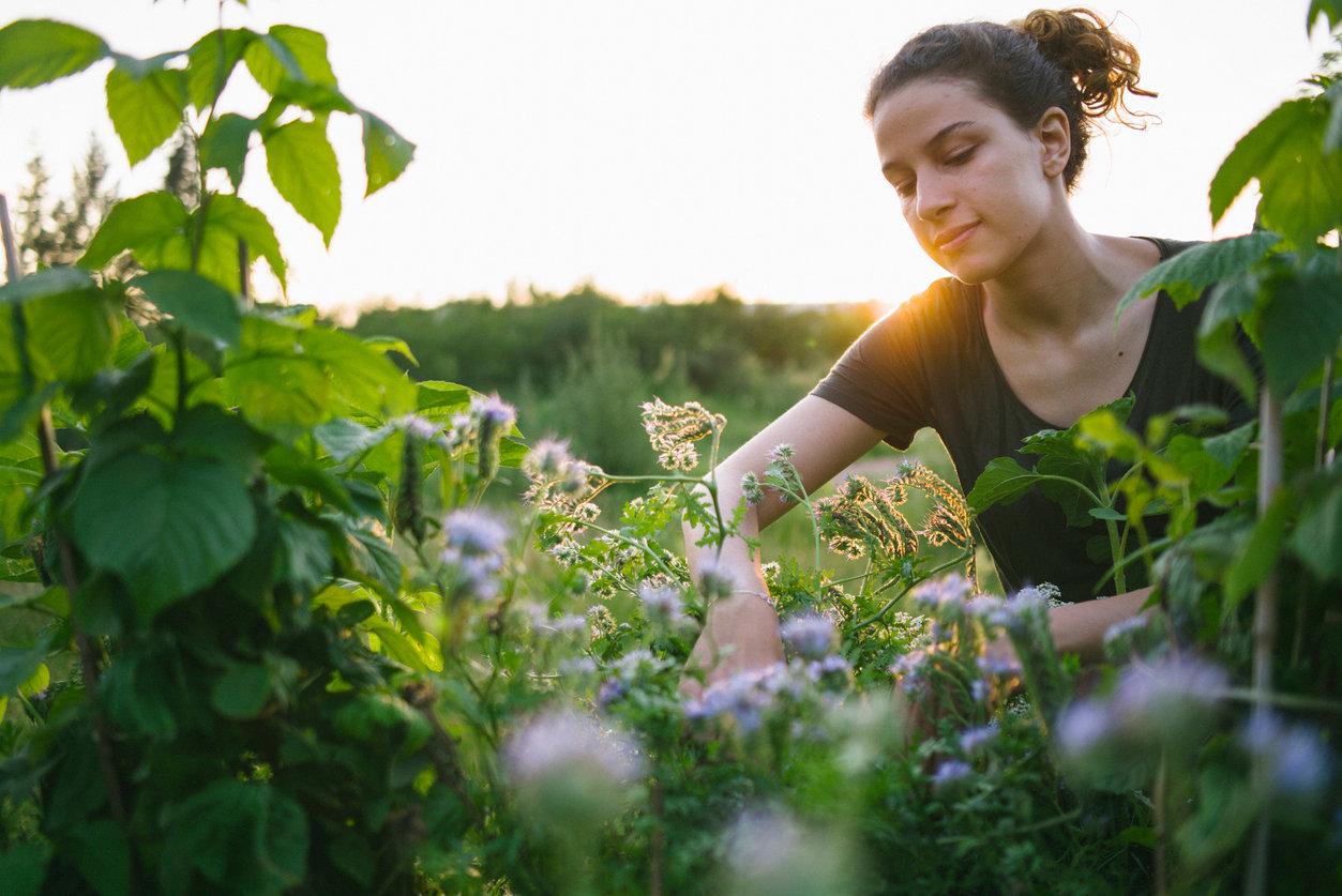 organic, Gardening, Beet, woman, sustainable, , Summer, urban gardening,