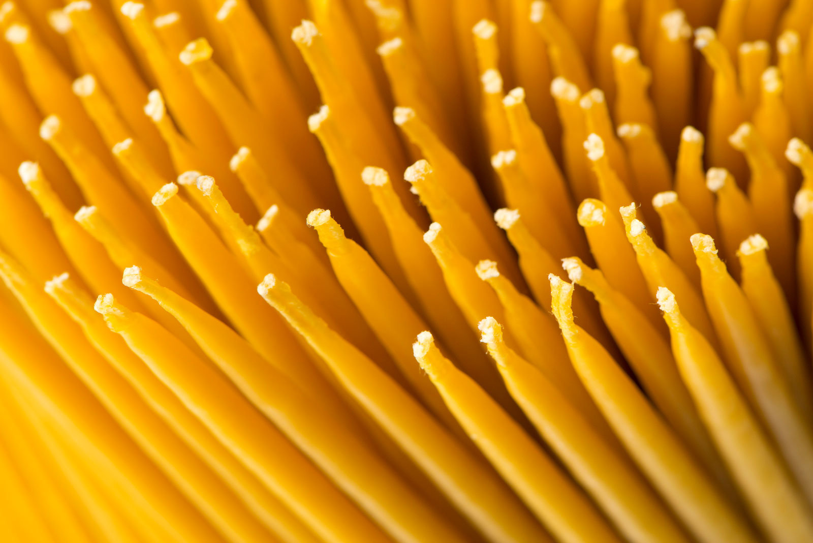 Kerzen aus Bienenwachs anstatt Erdöl