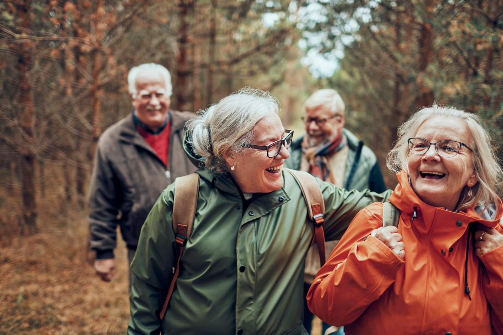 vier ältere Menschen wandern lachend durch den Wald.