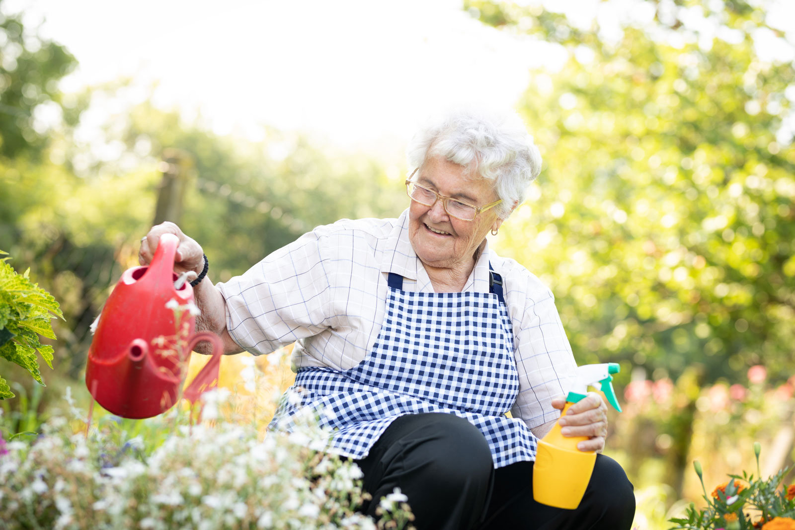 alte Frau gießt mit eier Gießkanne Pflanzen im Garten.