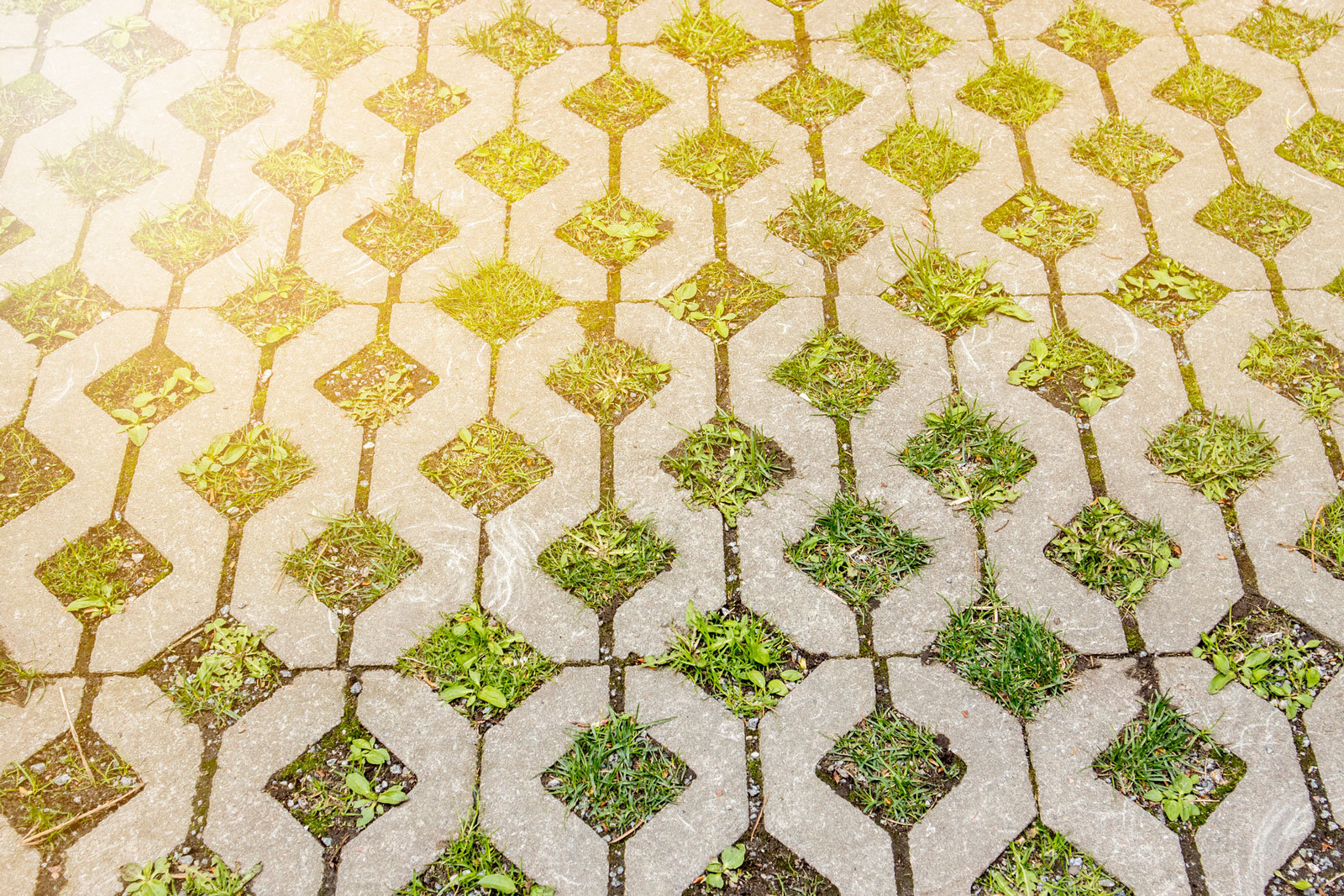 1147821291 Pflegeintensiv: Rasengittersteine