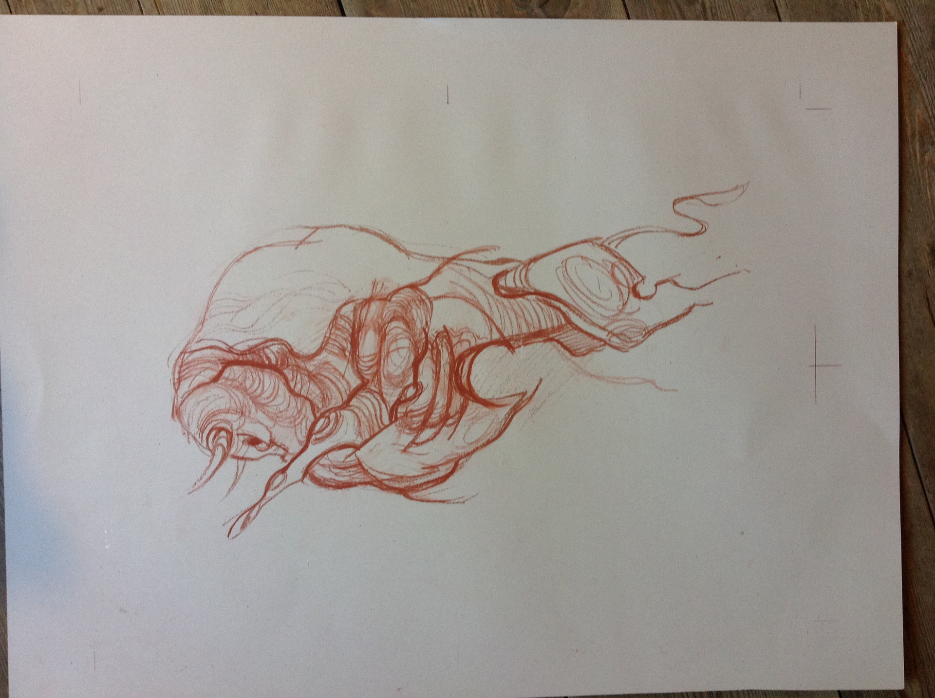 rote Zeichnung eines Bullen