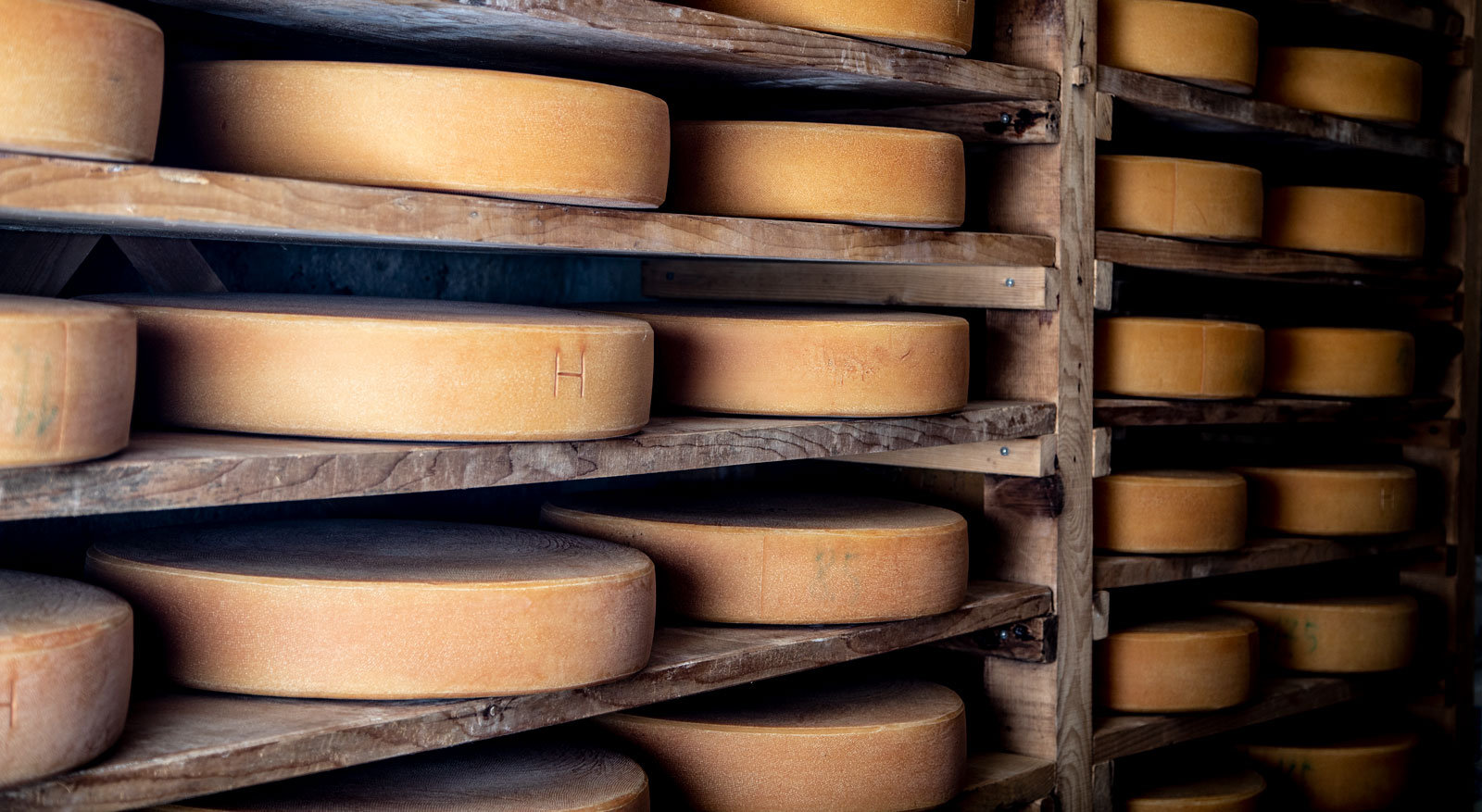 Ganz viele Käselaibe nebeneinander