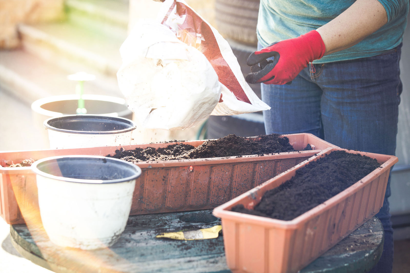 Mediterrane und heimische Kräuter brauchen unterschiedliche Erde.