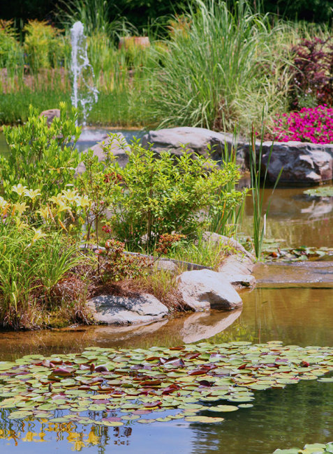 Gartenteich mit viel Begrünung und Steinen