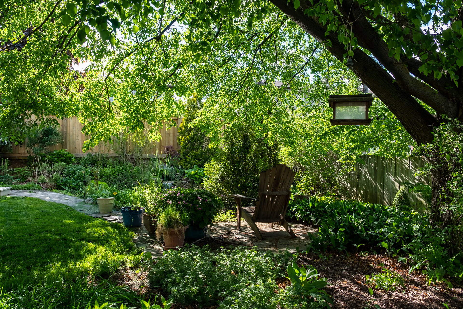 A Backyard Oasis With Plants, Trees and a Pond