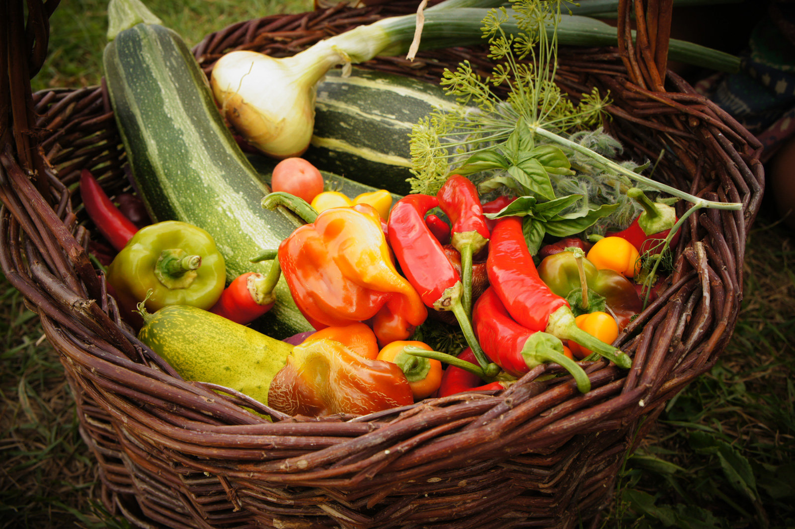 Experiment Selbstversorung