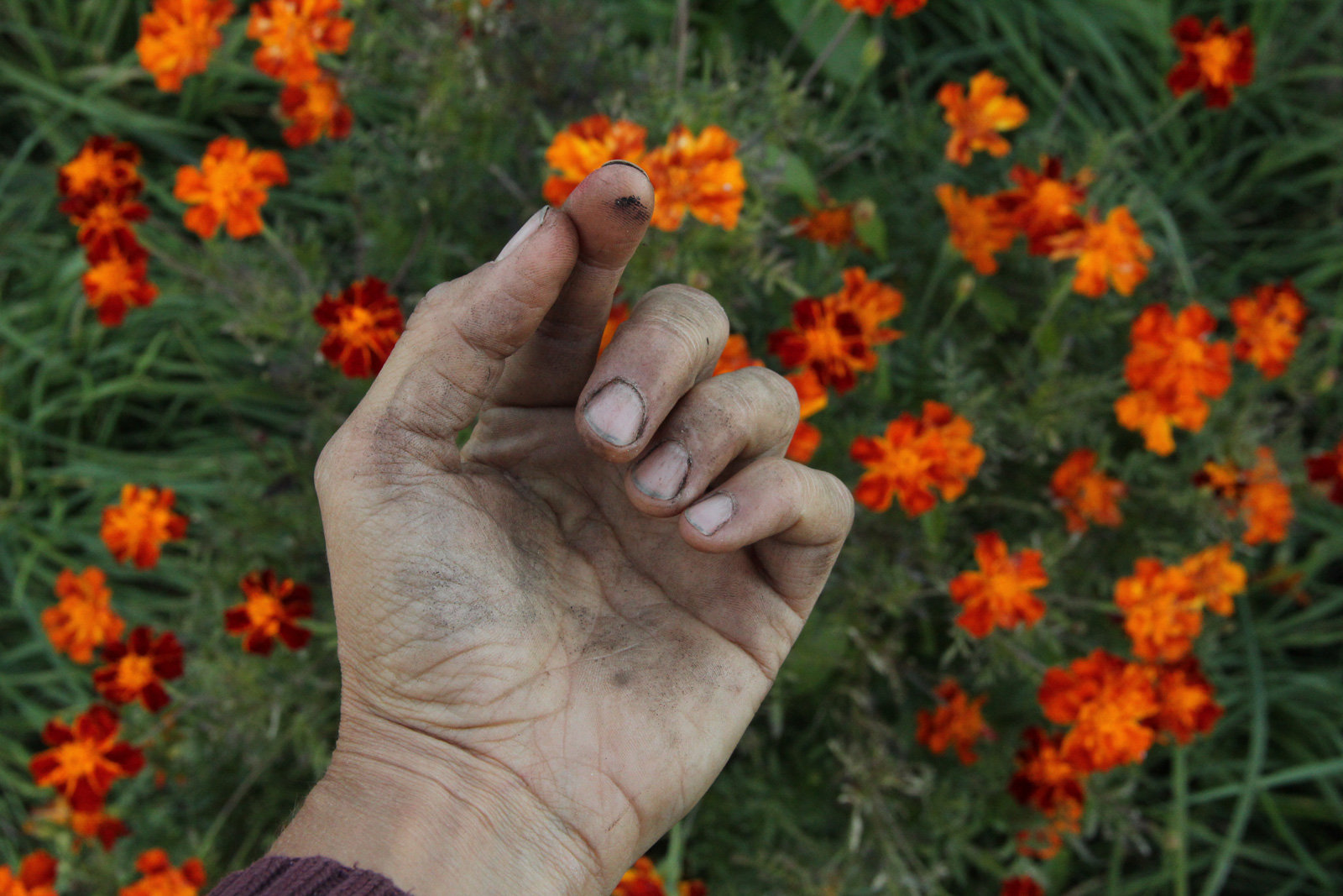 Man kommt mit dem Wesentlichen in Berührung