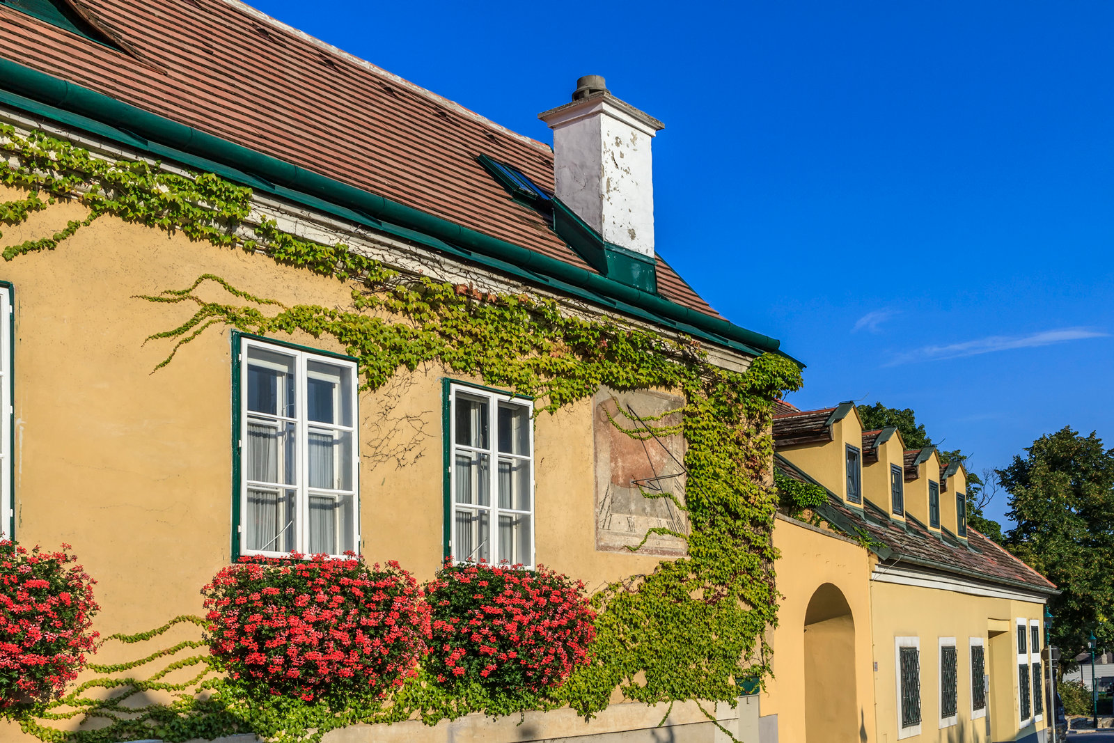 181956489 Voller Charme: Klassische Altbauten haben eine besondere Ausstrahlung.