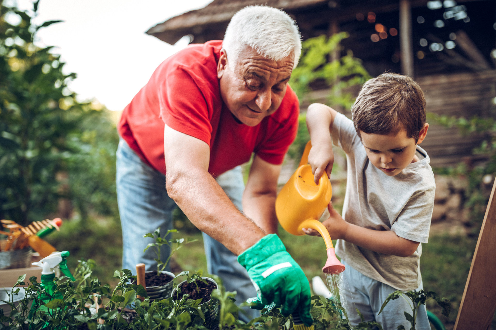 Ein Großvater und sein Enkel pflegen den Garten