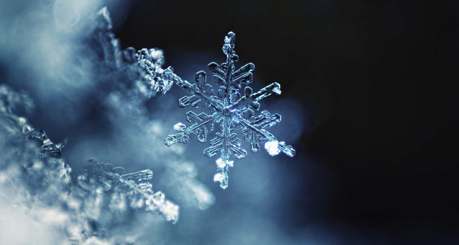 Ein natürliches Eiskristall lässt sich mit einer Klebepistole nachbauen.