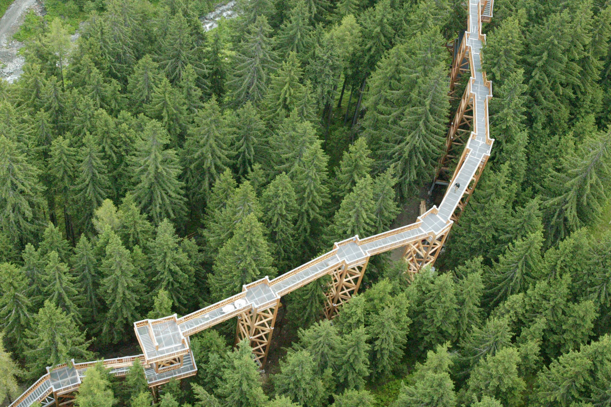 Wandern über den Wipfeln im Talschluss von Saalbach Hinterglemm | © www.baumzipfelweg.at