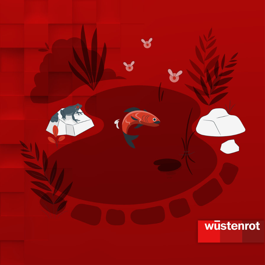 Grafik: Teich mit einem Koikarpfen