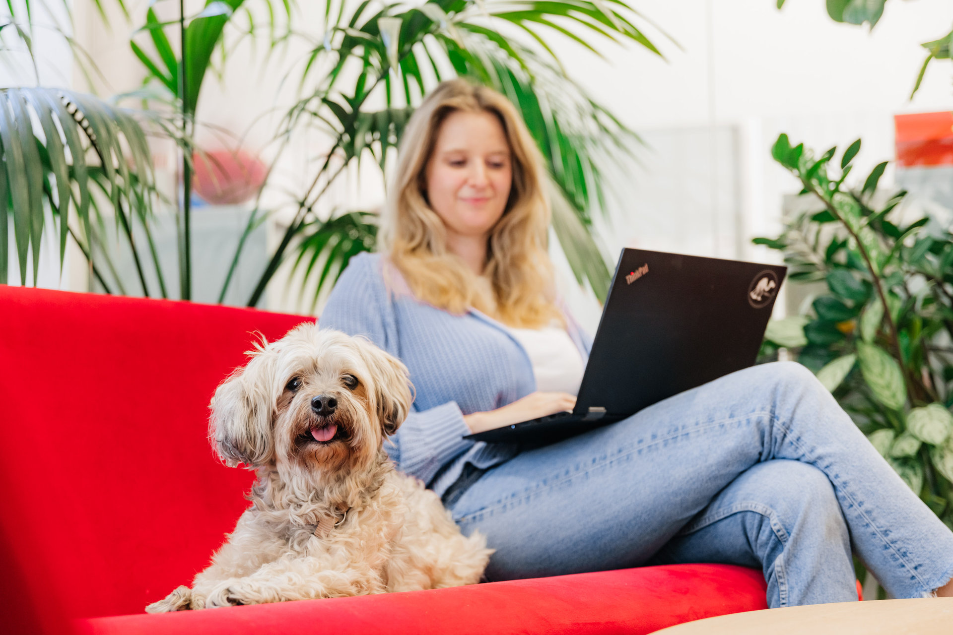 Bürohunde bei Wüstenrot Win-win-Situation: Den Mitarbeiter:innen geht's gut und die Bürohunde fühlen sich auch wohl.