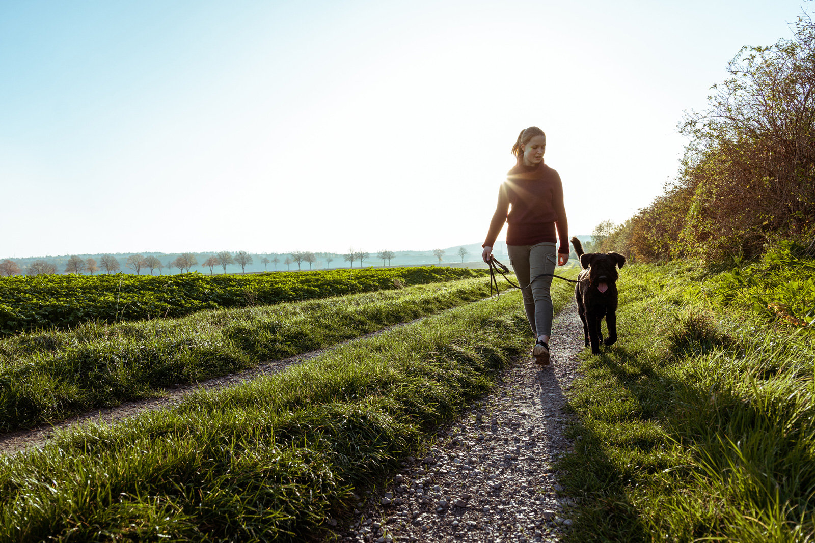 Frau mit Hund beim Spazierengehen