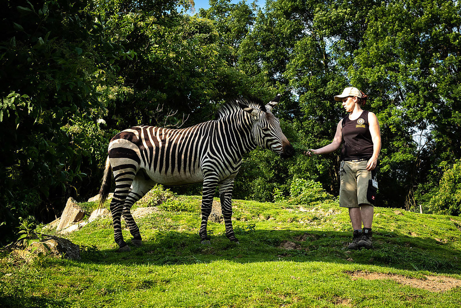 Die ganze Welt an einem Tag zu Fuß im Geo-Zoo Tierwelt Heberstein