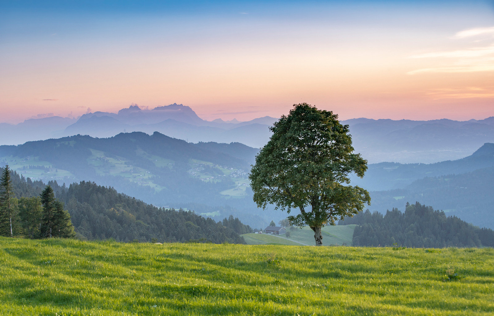 Baum auf einem Hügel vor einer beeindruckenden Landschaft
