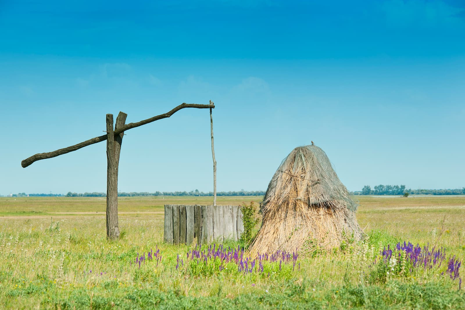 Gleich hinter Wien die Steppe: Brunnen am Neusiedler See