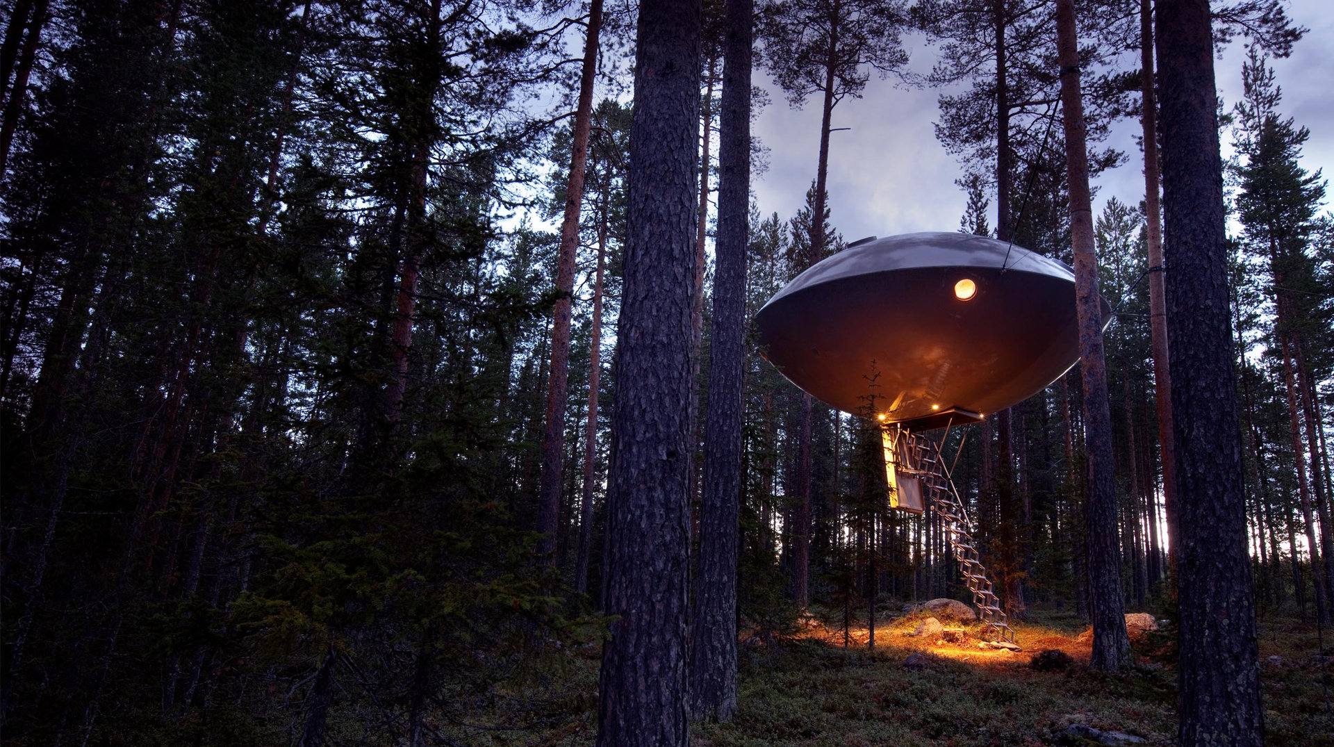 Ein Baumhaus in Form eines Ufos