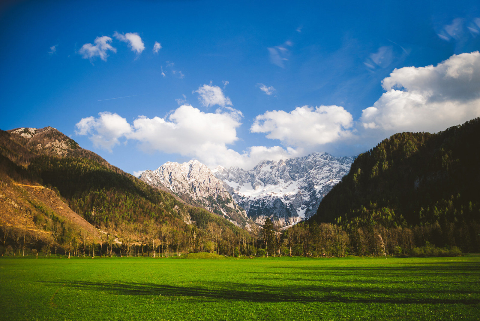 Blick auf den Berg Skuta vom Tal Zgornje Jezersko