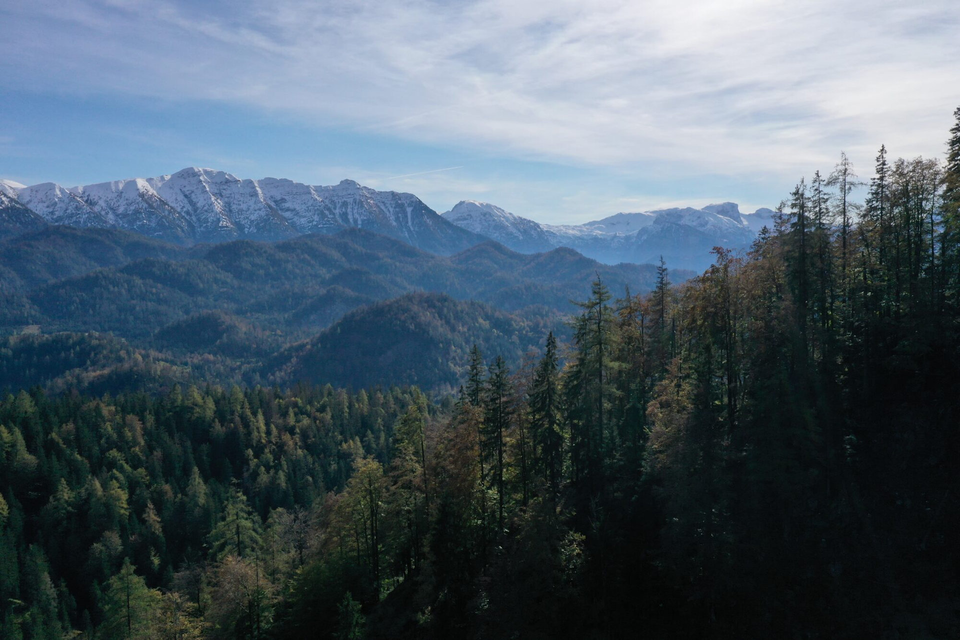 Blick ins Lassingtal aus dem Wildnisgebiet
