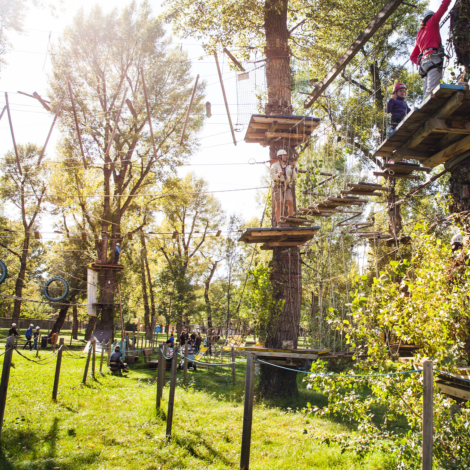 Hochseilklettergarten im Wiener Gänsehäufelbad
