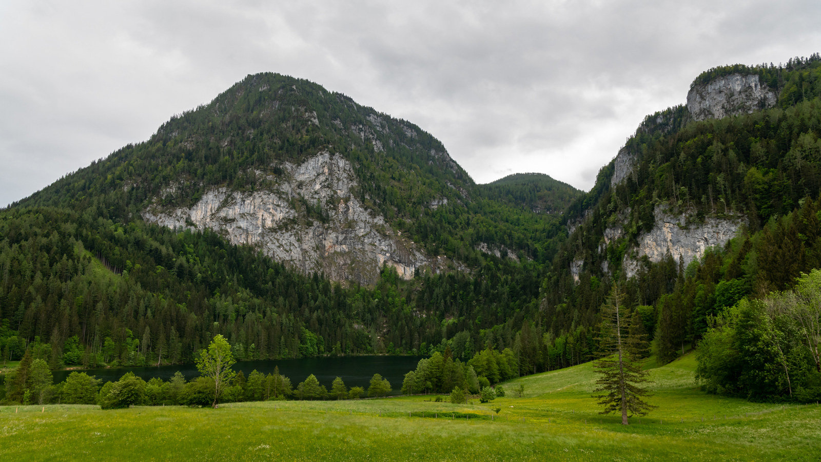 1306649195 1306649195