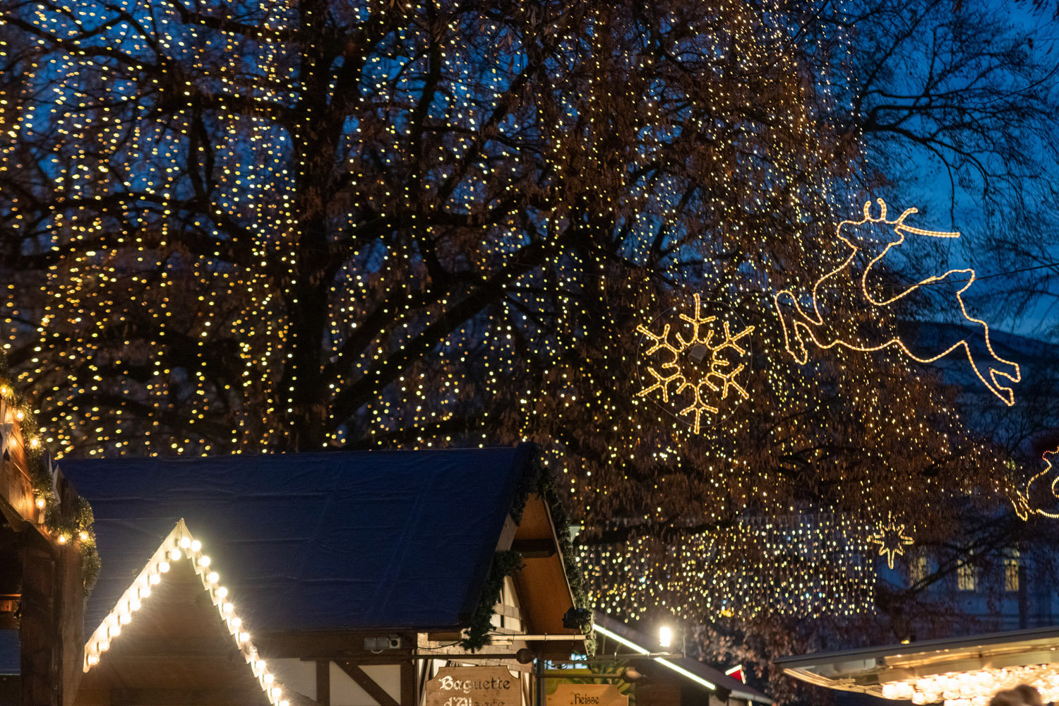 Weihnachtsmarkt im Volksgarten in Linz