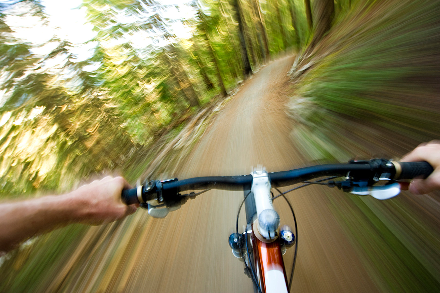 Person auf einem Fahrrad fährt schnell durch den Wald