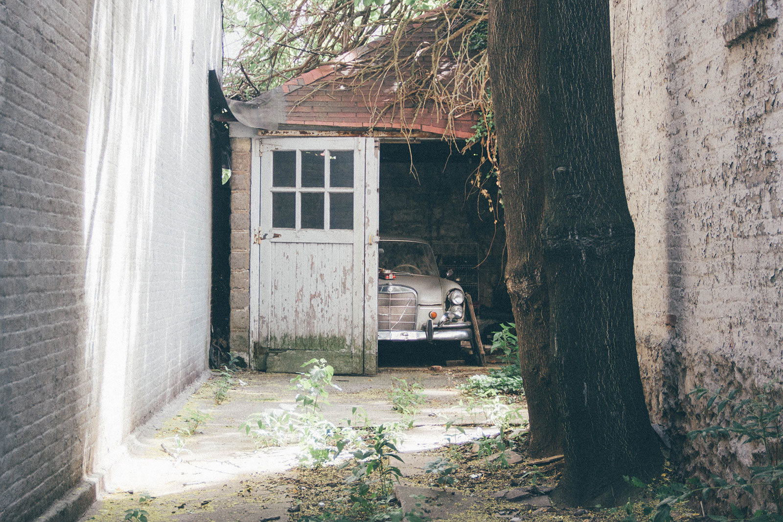 © unsplash I ren-wang