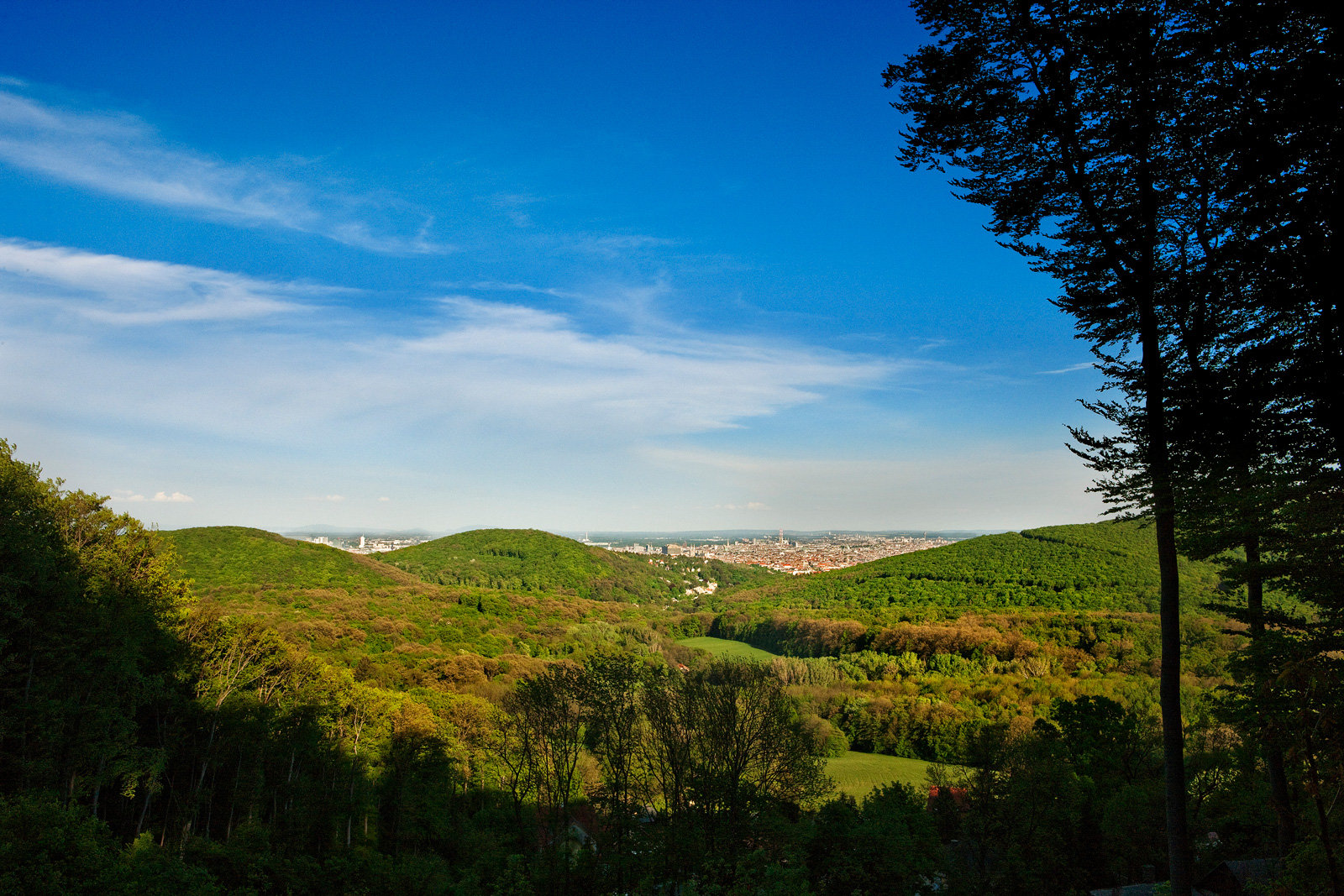 Blick über eine grüne Landschaft
