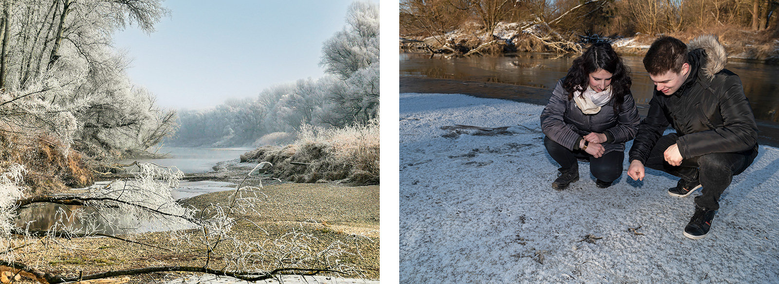 links: Winterlandschaft in den Donau-Auen, rechts: Spurensuche