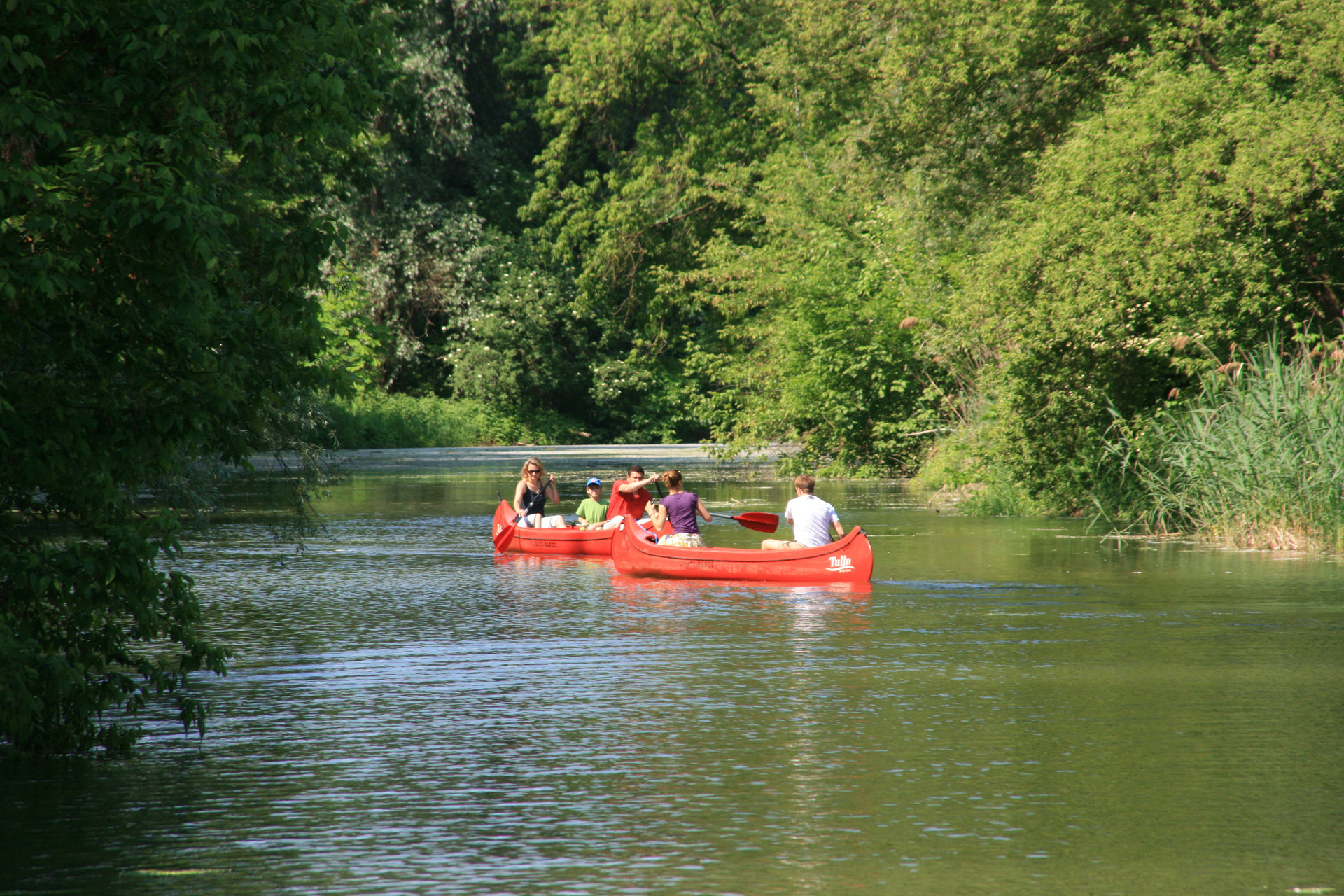 Die Alte Donau in Tulln eignet sich für die ganze Familie