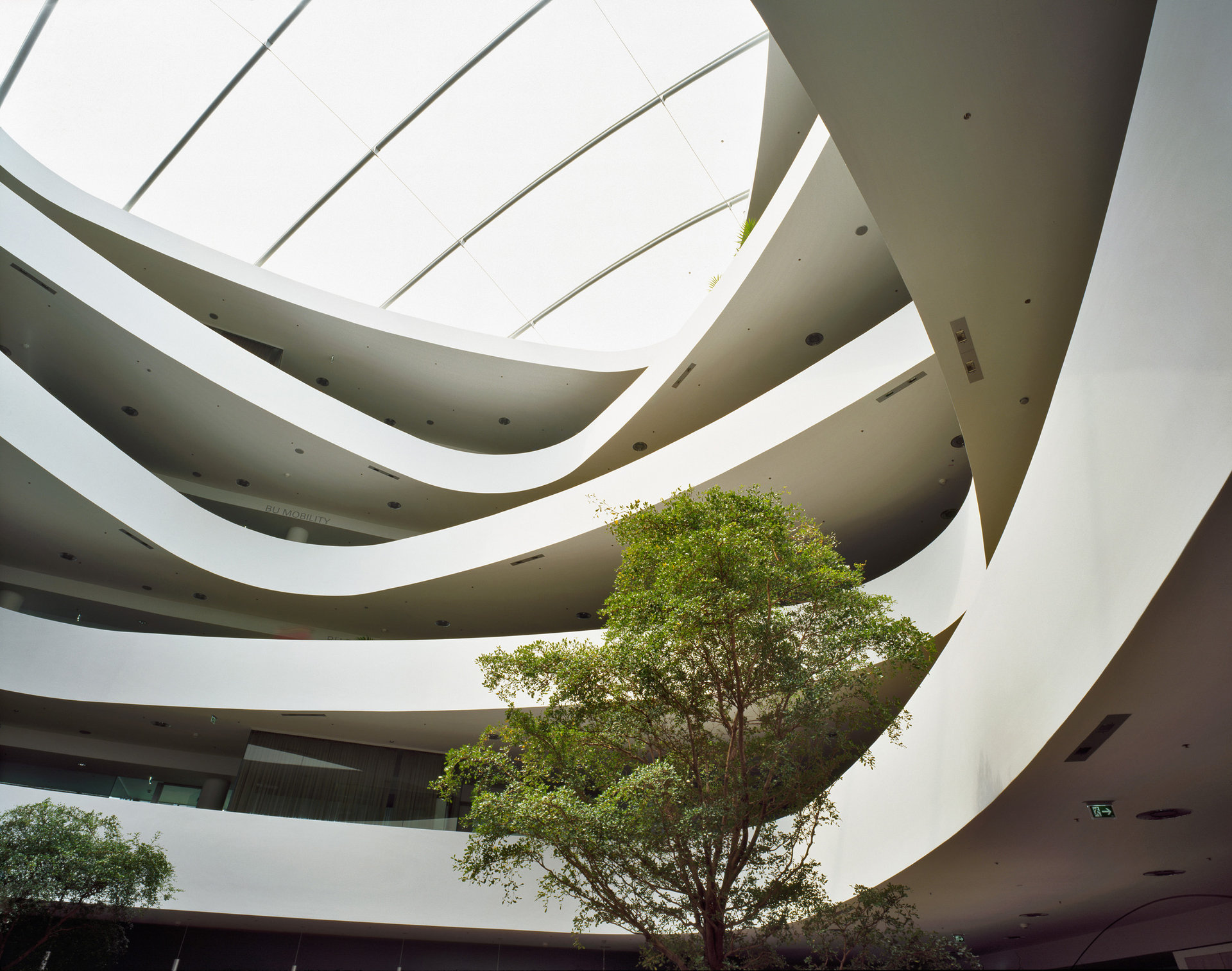 Bäume innerhalb eines Gebäudes