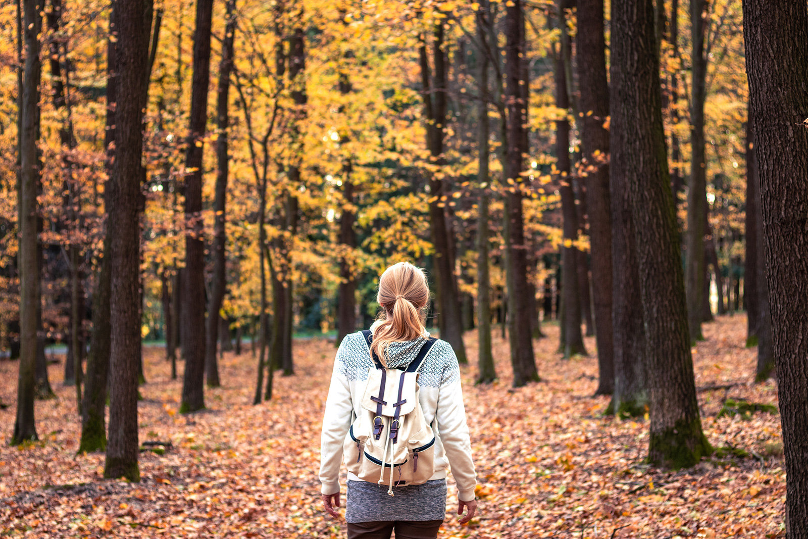 Frau geht im herbstlichen Wald spazieren