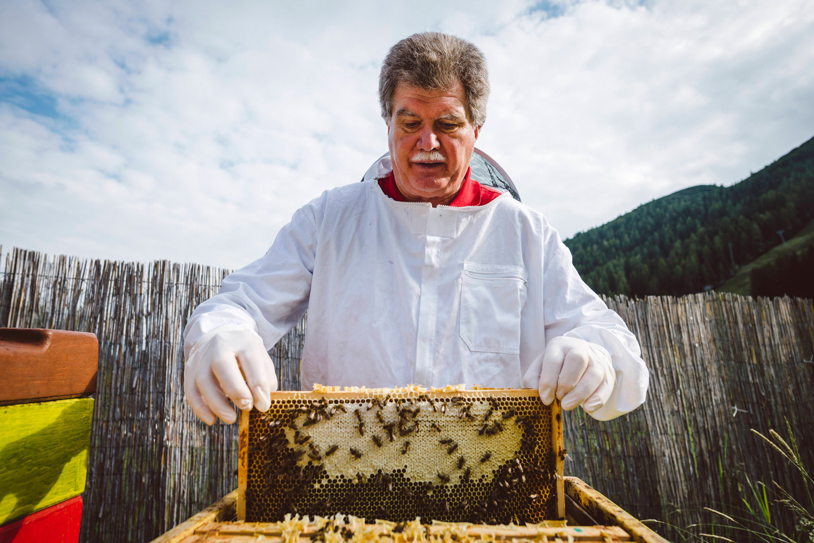 Imker mit Bienen