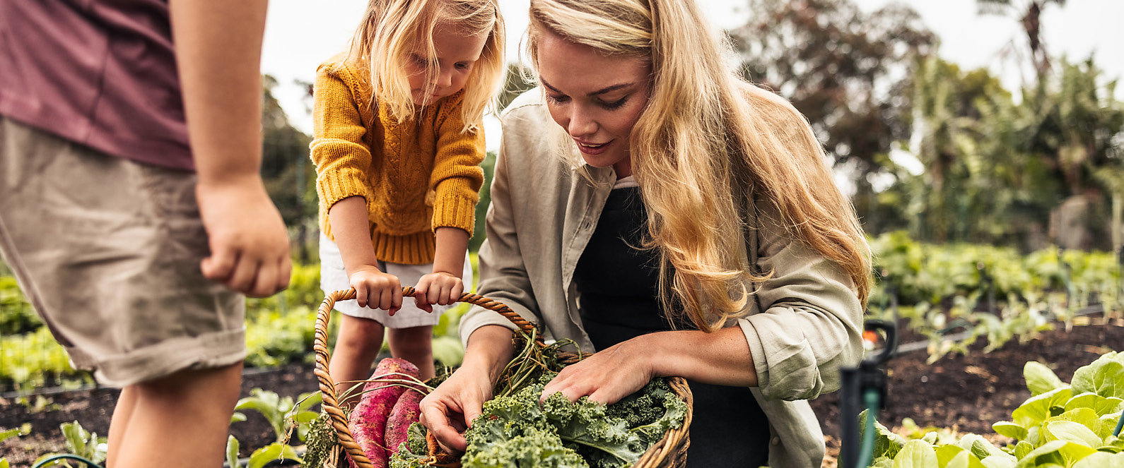 Mutter erntet mit Kindern im Garten