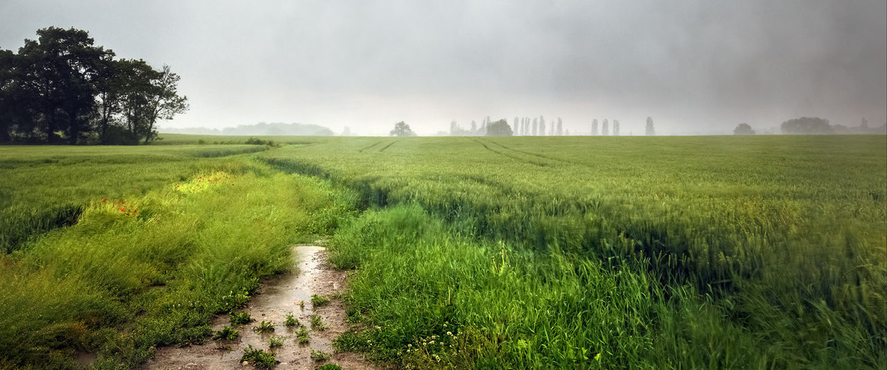 Regnerische Landschaft